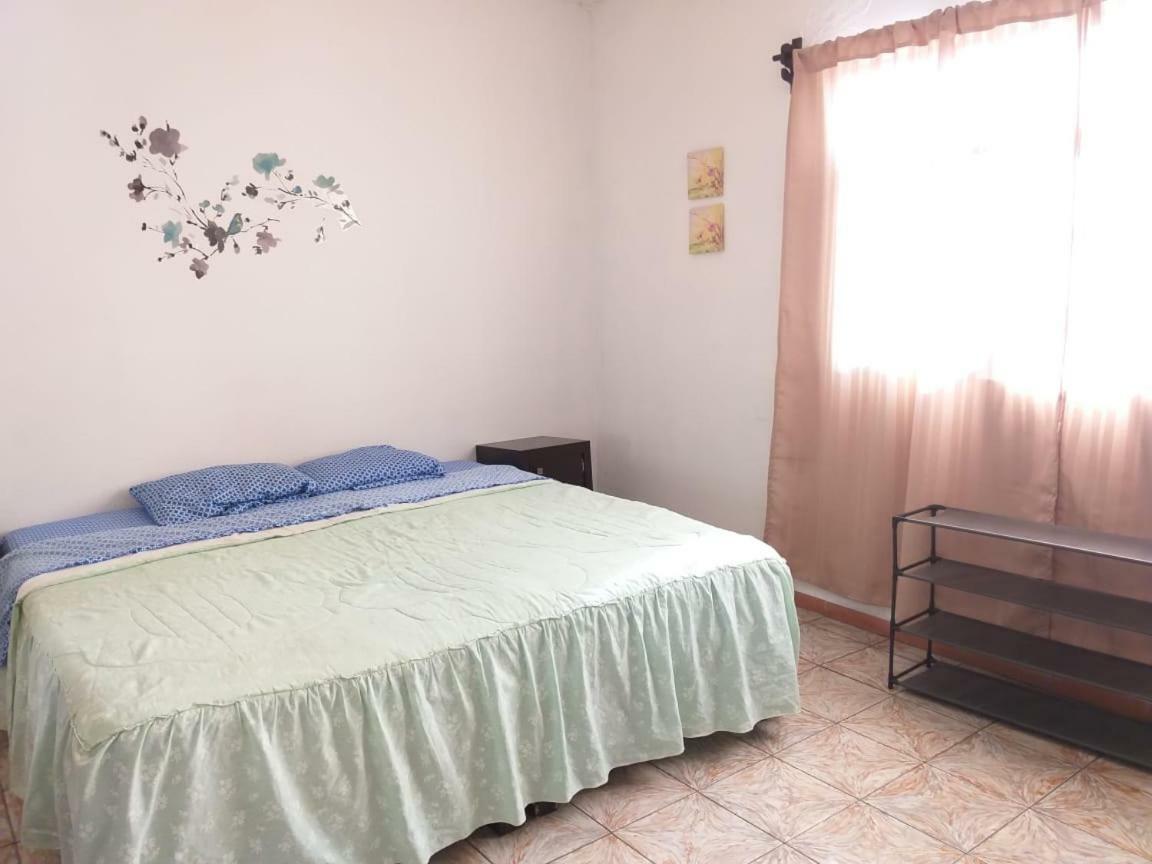 Julio House Hostel León Kültér fotó